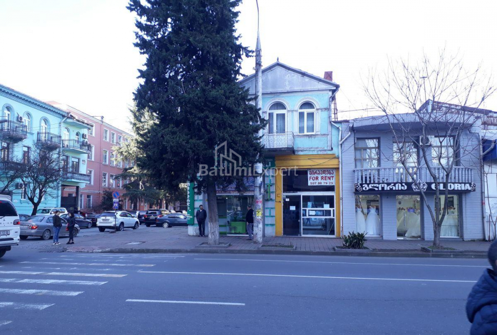 Квартира 240 м² - Іллі Чавчавадзе, Батумі, Грузія