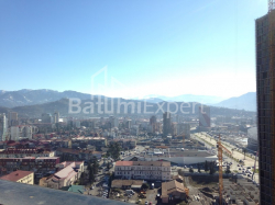 Квартира 2-комн 51.4 м² - Ніко Піросмані, Батумі