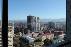 Квартира 30.3 м² - Алея Героїв, Батумі, Грузія