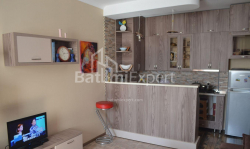 Квартира 3-комн 64 м² - Шалва Інасаридзе, Батумі