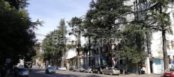 Квартира 3-комн 61 м² - Нiколоза Бараташвiлi, Батумі