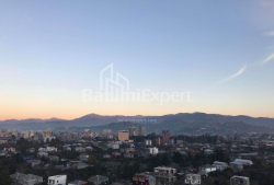 Квартира 1-комн 36 м² - Григола Еліава, Батумі