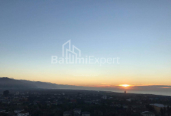 Квартира 1-комн 36 м² - Григола Еліава, Батумі
