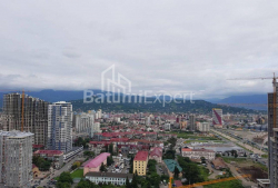 Квартира 45 м² - Зураба Горгiладзе, Батумі, Грузія