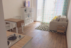Квартира 1-комн 33 м² - Юр'ївська, Батумі