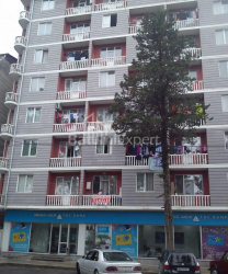 Квартира 3-комн 47 м² - Вахтанга Горгасали, Батумі