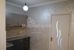 Квартира 3-комн 48 м² - Петра Мелiкiшвiлi, Батумі