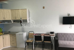 Квартира 1-комн 38 м² - Юр'ївська, Батумі