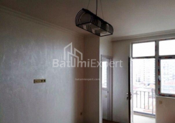 Квартира 1-комн 46 м² - Іллі Чавчавадзе, Батумі