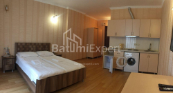 Квартира 1-комн 33 м² - Шерифа Хімшіашвілі, Батумі