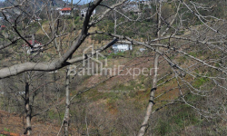 Квартира 2-комн 170 м² - Юр'ївська, Батумі