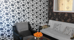 Квартира 3-комн 65 м² - Ніко Піросмані, Батумі