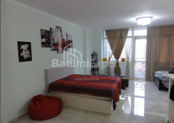 Квартира 1-комн 50 м² - Ніко Піросмані, Батумі