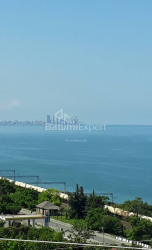 Приватний будинок 1830 м² - Агмашенебелі, Чакві, Грузія