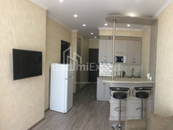 Квартира 48.2 м² - Шалва Інасаридзе, Батумі, Грузія