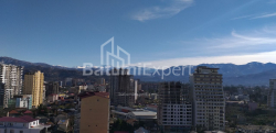 Квартира 1-комн 31.3 м² - Шалва Інасаридзе, Батумі