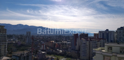 Квартира 1-комн 31.3 м² - Шалва Інасаридзе, Батумі