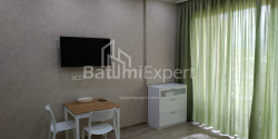 Квартира 33 м² - Шалва Інасаридзе, Батумі, Грузія
