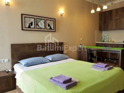 Квартира 1-комн 29 м² - Зураба Горгiладзе, Батумі
