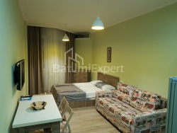 Квартира 1-комн 28.7 м² - Зураба Горгiладзе, Батумі