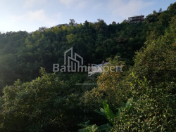 Приватний будинок 4-комн 2501 м² - Акакі Шаінідзе, Хелвачаурі