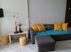 Квартира 2-комн 35.6 м² - Ніко Піросмані, Батумі