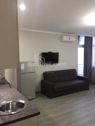 Квартира 28.5 м² - Шалва Інасаридзе, Батумі, Грузія