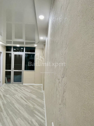 Квартира 50 м² - Шалва Інасаридзе, Батумі, Грузія