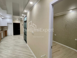 Квартира 50 м² - Шалва Інасаридзе, Батумі, Грузія