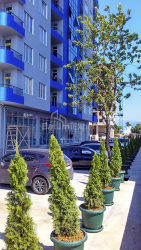 Квартира 30 м² - Шерифа Хімшіашвілі, Батумі, Грузія