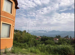 Приватний будинок 180 м² - Фрiдiона Халвашi, Батумі, Грузія