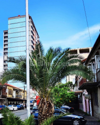 Квартира 80 м² - Іллі Чавчавадзе, Батумі, Грузія