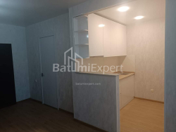 Квартира 46 м² - Ніко Піросмані, Батумі, Грузія