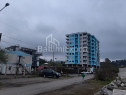 Квартира 48.13 м² - Цариці Тамари, Батумі, Грузія