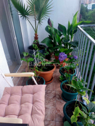 Квартира 1-комн 31.8 м² - Ангіса, Батумі