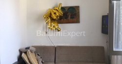 Квартира 52 м² - Давида Агмашенебелі, Батумі, Грузія